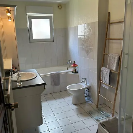 Le Petit Coin Des Oliviers Apartment Colmar