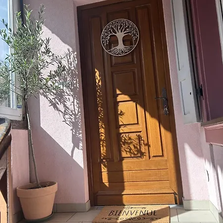 Le Petit Coin Des Oliviers Apartmán Colmar