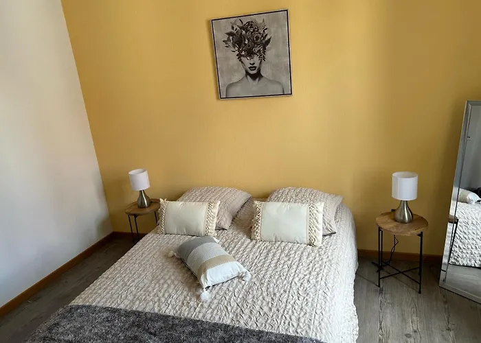 Le Petit Coin Des Oliviers 科尔马