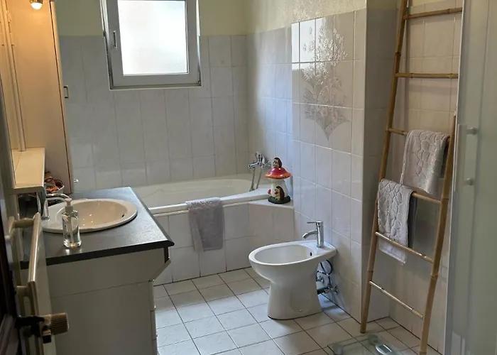 Le Petit Coin Des Oliviers 公寓 科尔马