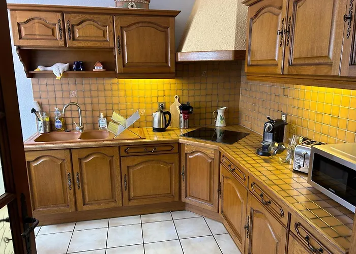 Le Petit Coin Des Oliviers 公寓 科尔马