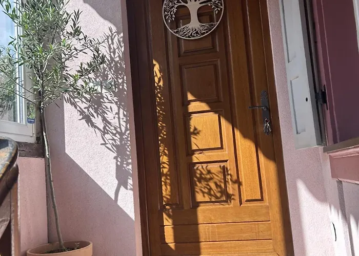 Le Petit Coin Des Oliviers 公寓 科尔马